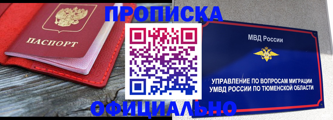 прописка законно в Кашине